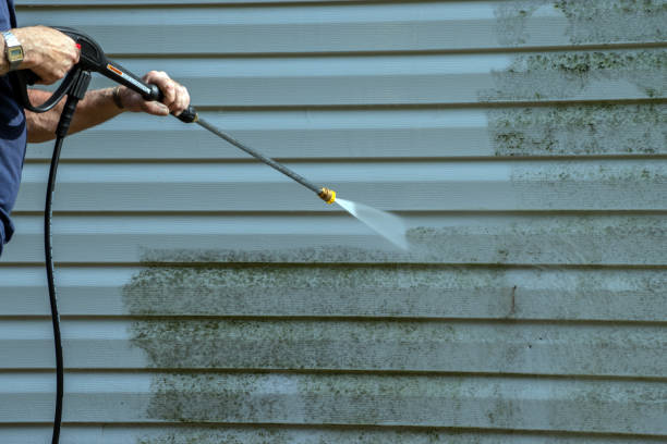 Local Pressure Washing Services in Sycamore, IL